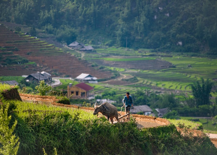 VICTORIA SAPA RESORT & SPA